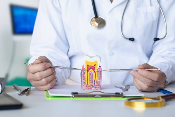 Best Mobile Emergency Dentist in Stephenville, TX